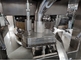 Machine effervescente de compression de Tablette de camphre de vitamine de lait fournisseur
