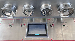 TIANHE ZP29 20 de diamètre machine automatique de presse de comprimés pour 500 mg de sucre de lait sec fournisseur