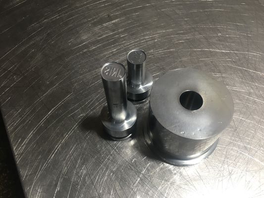 TIANHE Customized Multi-head mould/Punches & dies/Material S7 Hard Chrome fournisseur