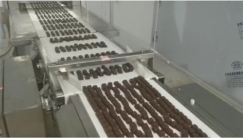 La machine de pressage des comprimés rotatifs à poudre de poulet 10g fournisseur
