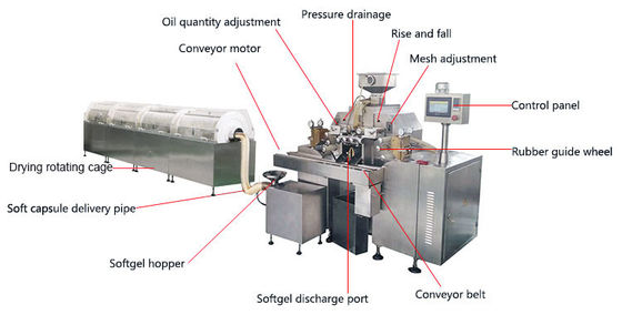 Machine automatique à grande vitesse d'encapsulation de Softgel d'huile de vitamine fournisseur