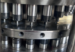 TIANHE Capacité 50000 comprimés machine de compression pour forme ronde 40 mm fournisseur